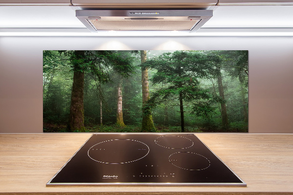 Spatplaat keuken Mist in het bos