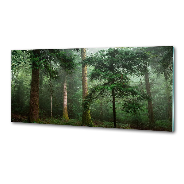 Spatplaat keuken Mist in het bos