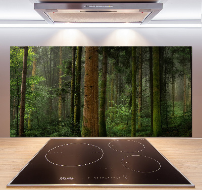 Keuken achterwand Mist in het bos