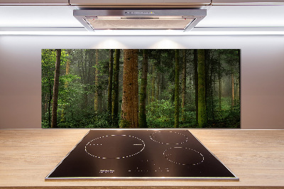 Keuken achterwand Mist in het bos