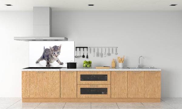 Achterwand keuken Kleine kat