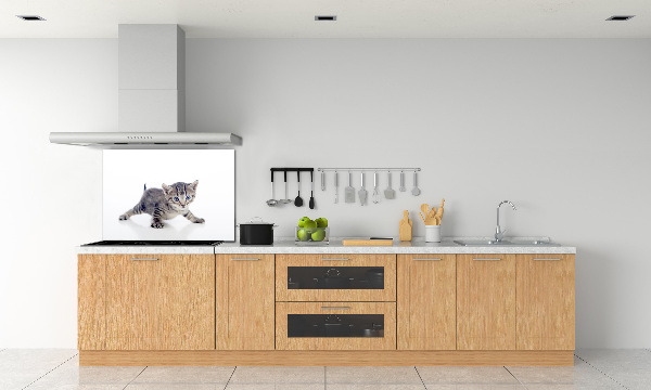 Achterwand keuken Kleine kat