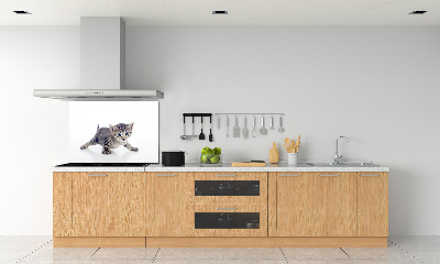 Achterwand keuken Kleine kat