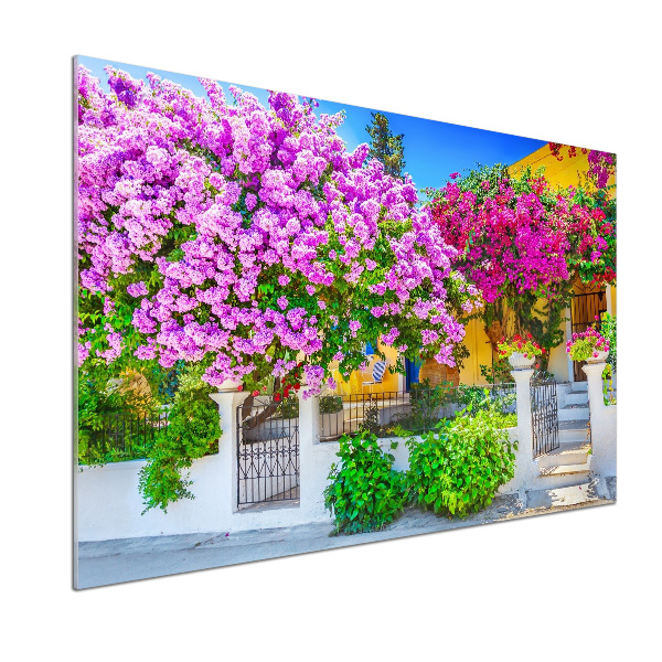 Glazen achterwand keuken Huis met bougainvillea