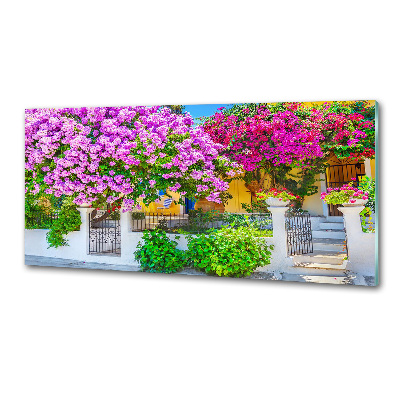Glazen achterwand keuken Huis met bougainvillea