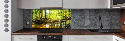 Spatscherm keuken Een vijver in het bos