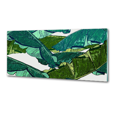 Glazen achterwand keuken Bananenbladeren