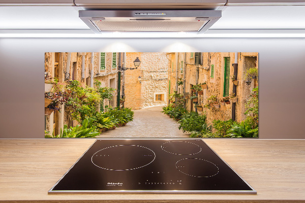 Spatplaat keuken Historische straten