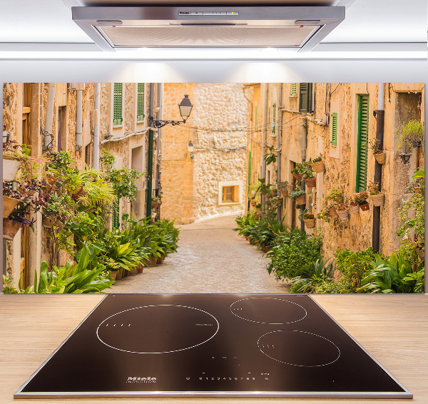 Spatplaat keuken Historische straten