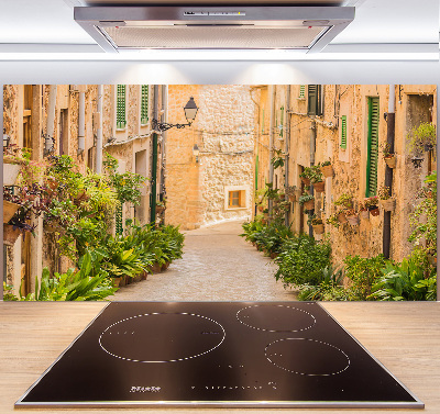 Spatplaat keuken Historische straten