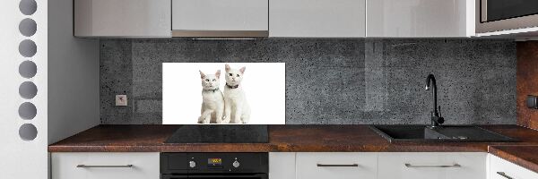 Glazen achterwand keuken Witte katten