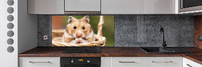 Spatscherm keuken Hamster in een mandje