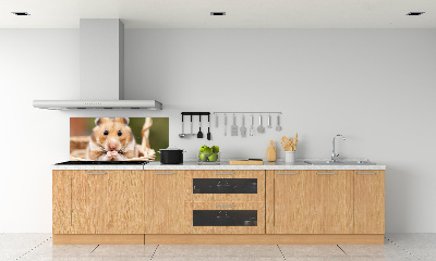 Panel do kuchni Chomik w koszyku