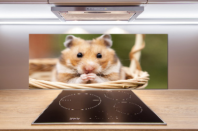 Spatscherm keuken Hamster in een mandje