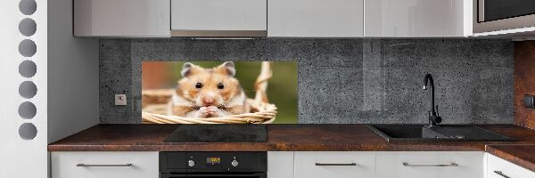 Spatscherm keuken Hamster in een mandje