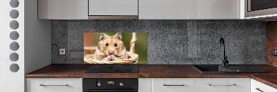Spatscherm keuken Hamster in een mandje