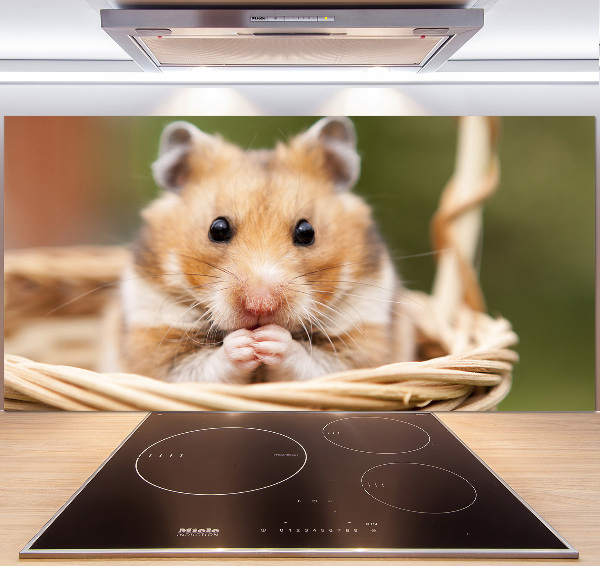 Spatscherm keuken Hamster in een mandje