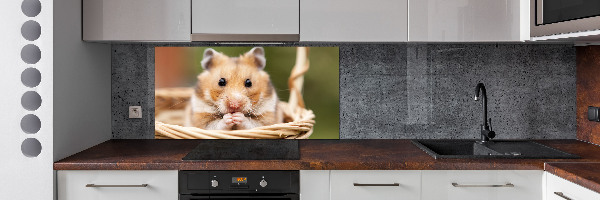 Spatscherm keuken Hamster in een mandje