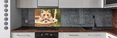 Spatscherm keuken Hamster in een mandje