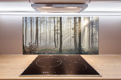 Panel dekor szkło Mgła w lesie