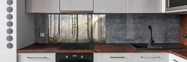 Glazen achterwand keuken Mist in het bos