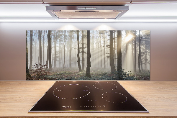 Glazen achterwand keuken Mist in het bos