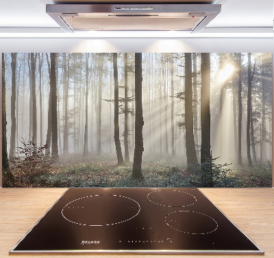 Glazen achterwand keuken Mist in het bos