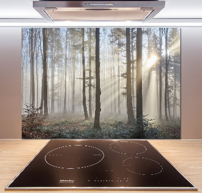 Glazen achterwand keuken Mist in het bos