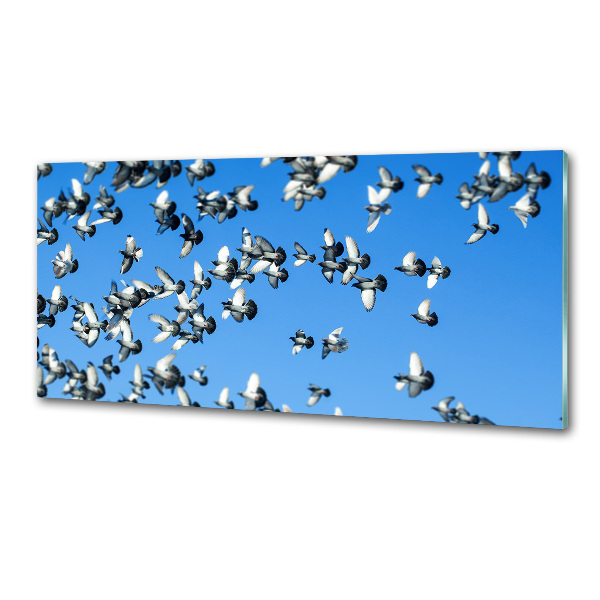 Keuken achterwand Een zwerm duiven