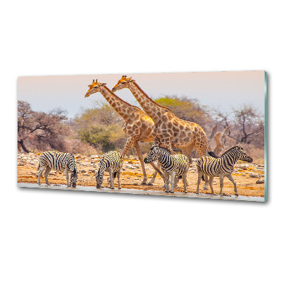 Glazen achterwand keuken Giraffen en zebra's