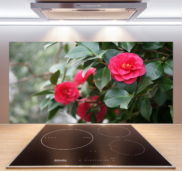 Glazen achterwand keuken Camelia