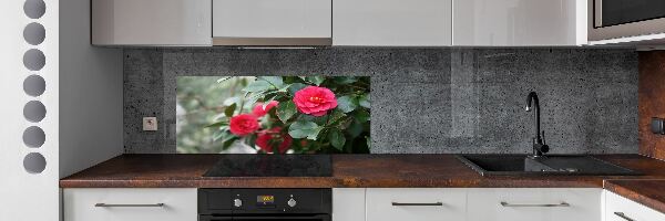Glazen achterwand keuken Camelia