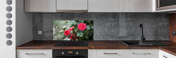 Glazen achterwand keuken Camelia