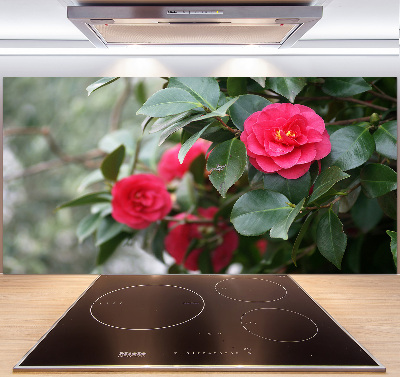Glazen achterwand keuken Camelia