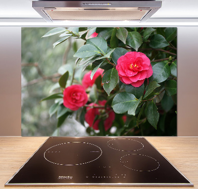Glazen achterwand keuken Camelia