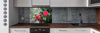 Glazen achterwand keuken Camelia