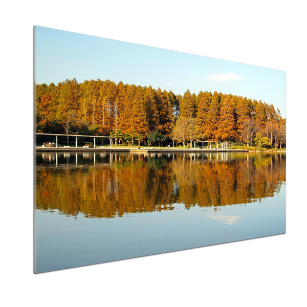 Achterwand keuken Bos aan het meer