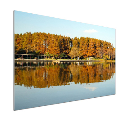 Achterwand keuken Bos aan het meer