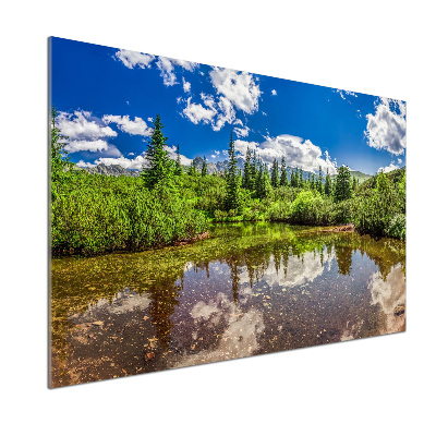 Spatscherm keuken Meer in het bos