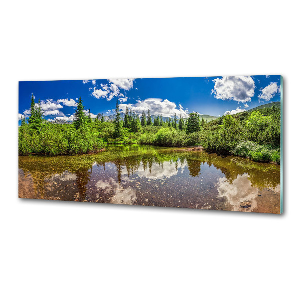 Spatscherm keuken Meer in het bos