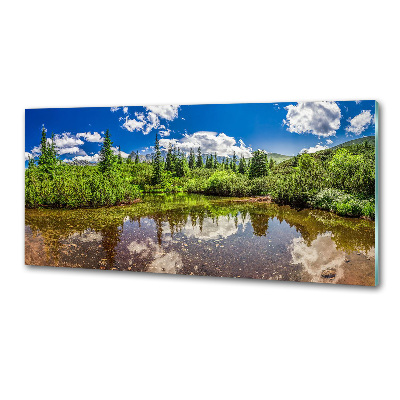 Spatscherm keuken Meer in het bos