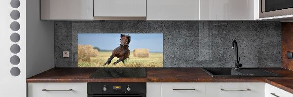 Achterwand keuken Een galopperend paard
