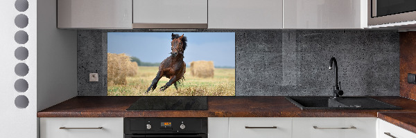 Achterwand keuken Een galopperend paard