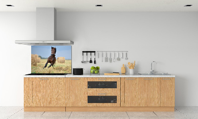 Achterwand keuken Een galopperend paard