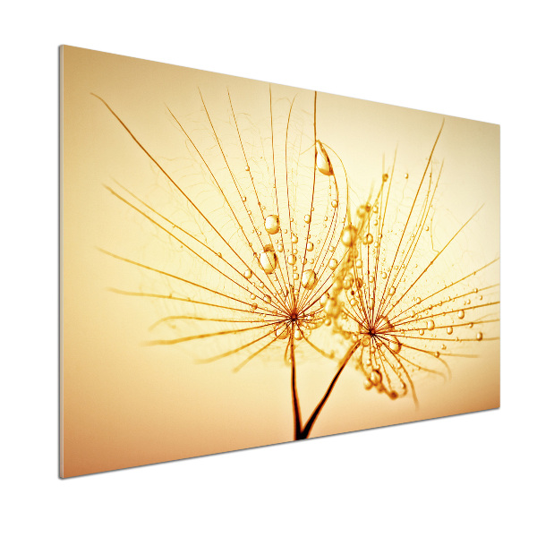 Panel do kuchni Nasiona dmuchawca