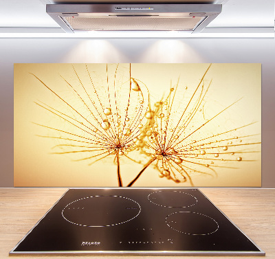 Achterwand keuken Paardenbloemzaden