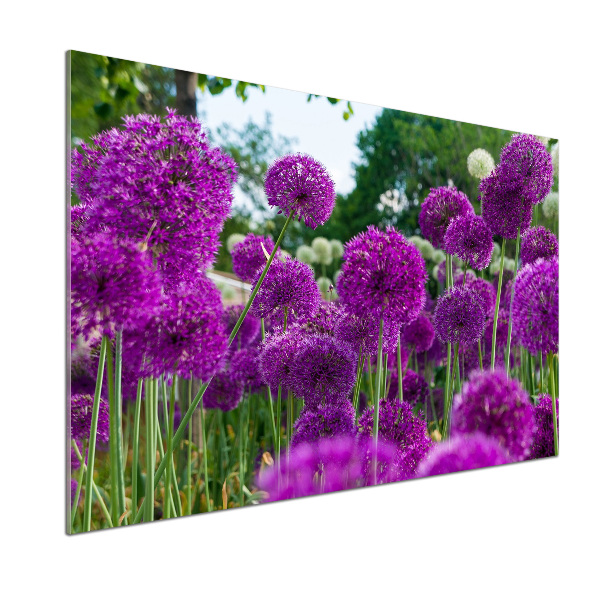 Spatplaat keuken Knoflookbloemen