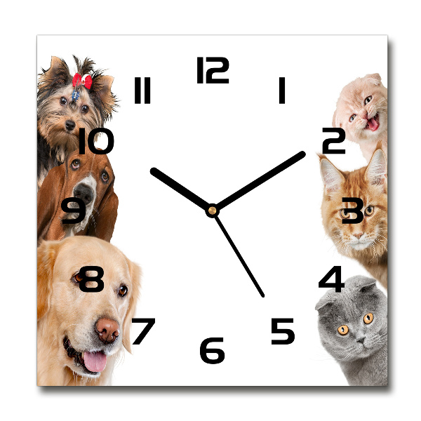 Vierkante glazen wandklok Honden en katten