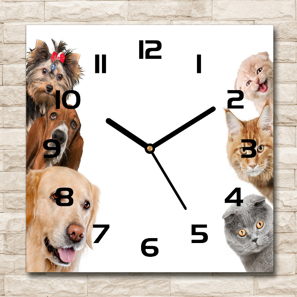 Vierkante glazen wandklok Honden en katten