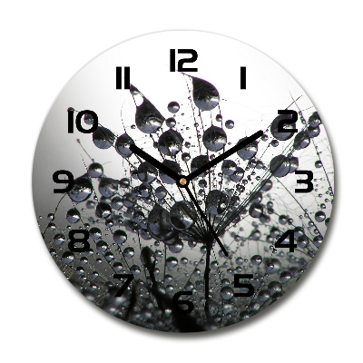 Ronde glazen klok Paardenbloemzaden